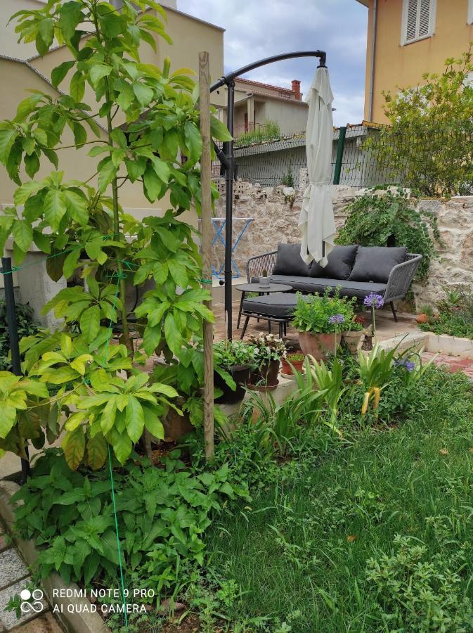 Podvrsina1A Rosa Vila Preko Exterior foto