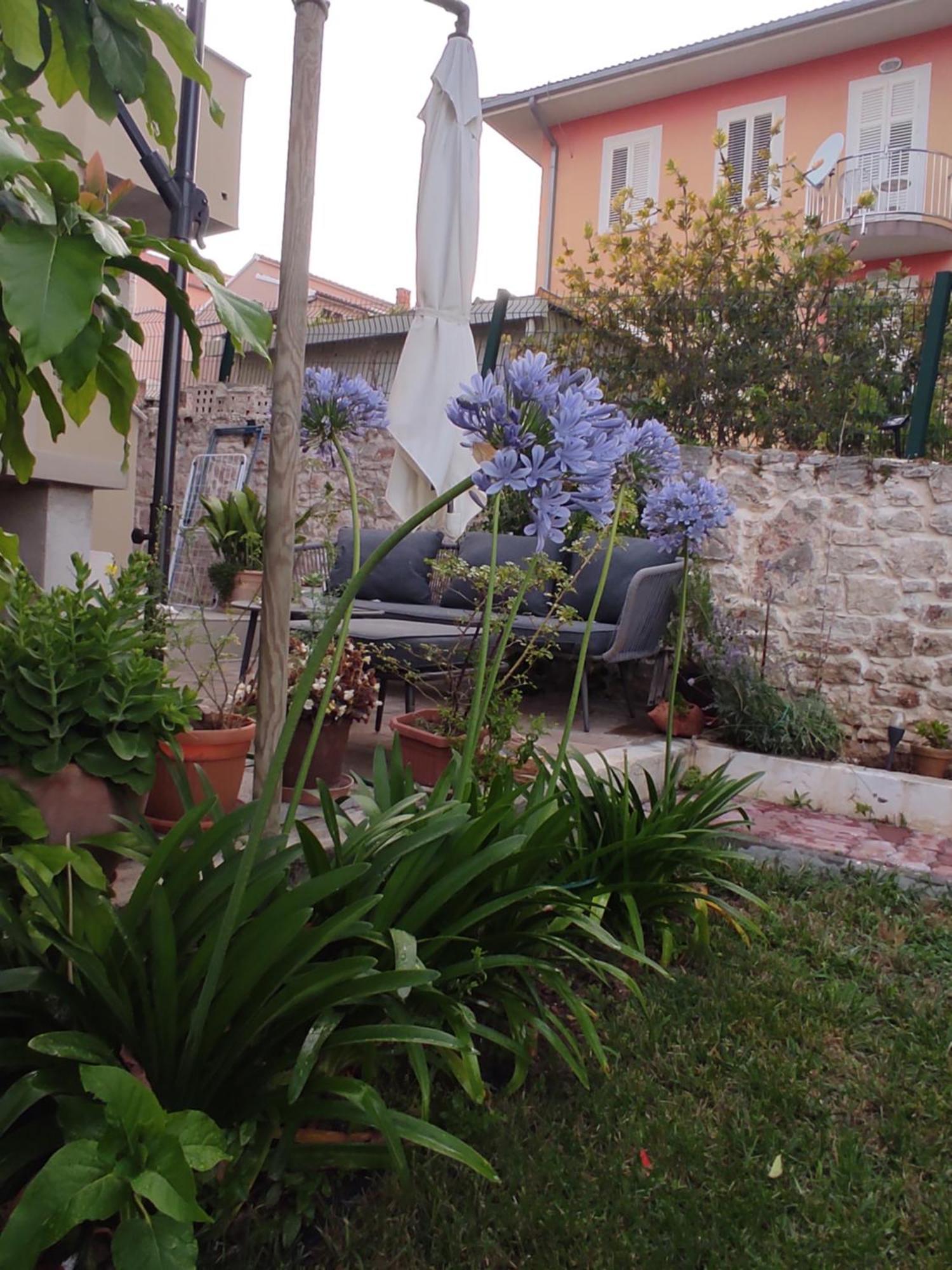 Podvrsina1A Rosa Vila Preko Exterior foto