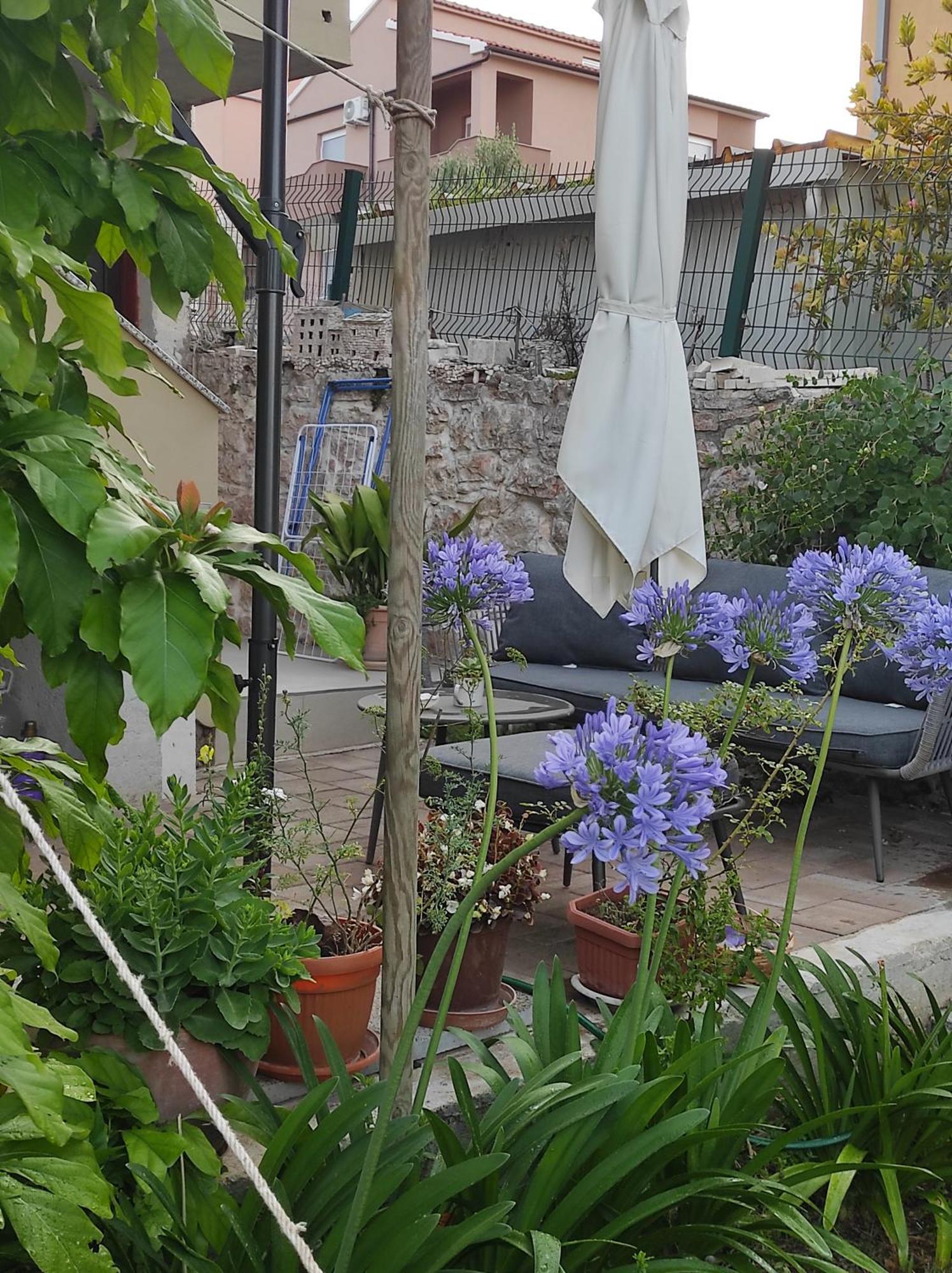 Podvrsina1A Rosa Vila Preko Exterior foto